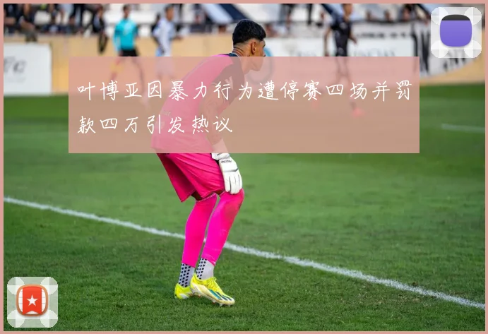叶博亚因暴力行为遭停赛四场并罚款四万引发热议